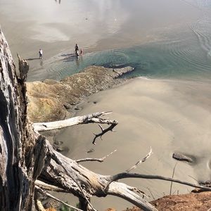 Meet your Posher, Lynn